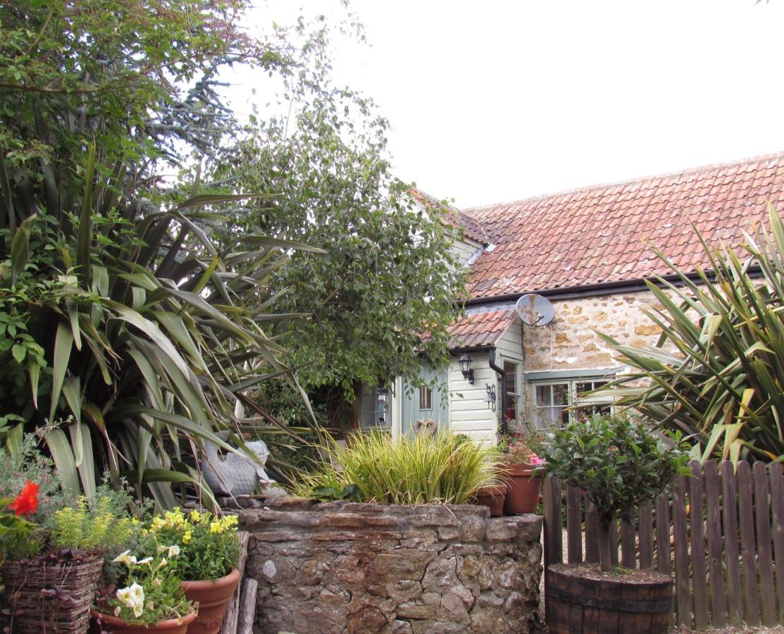 Chiddy Nook Cottage Chideock Buitenkant foto